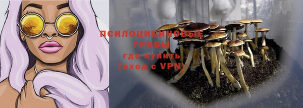 марки lsd Каменка