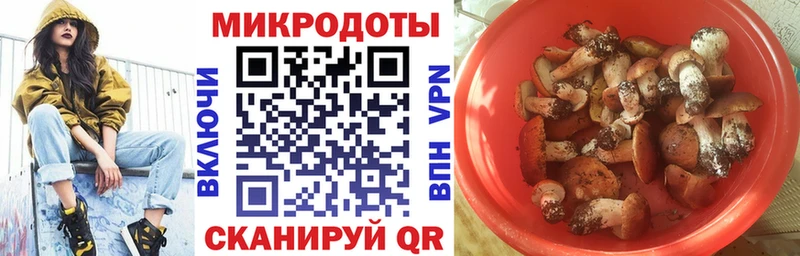 Галлюциногенные грибы мицелий купить цена блэк спрут ссылки Ленинградская
